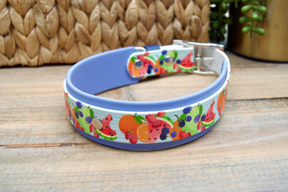Fruit Salad: Printed Double Layer Biothane Dog Collar