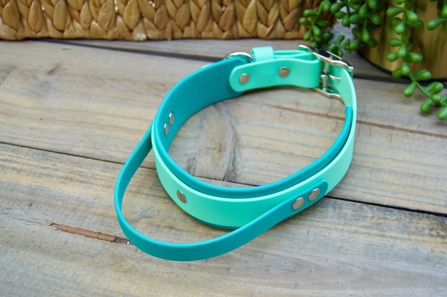 Sport Handle Double Layer Biothane Dog Collar