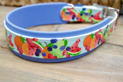 Fruit Salad: Printed Double Layer Biothane Dog Collar
