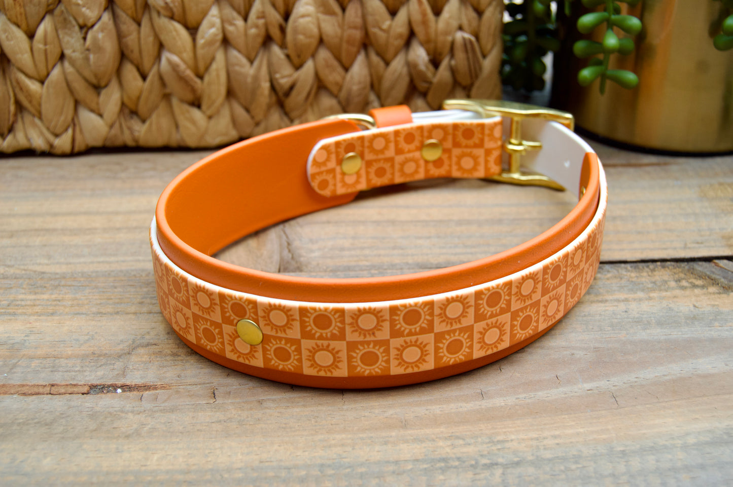 Sun: Printed Double Layer Biothane Dog Collar