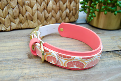 Grapefruit: Printed Double Layer Biothane Dog Collar