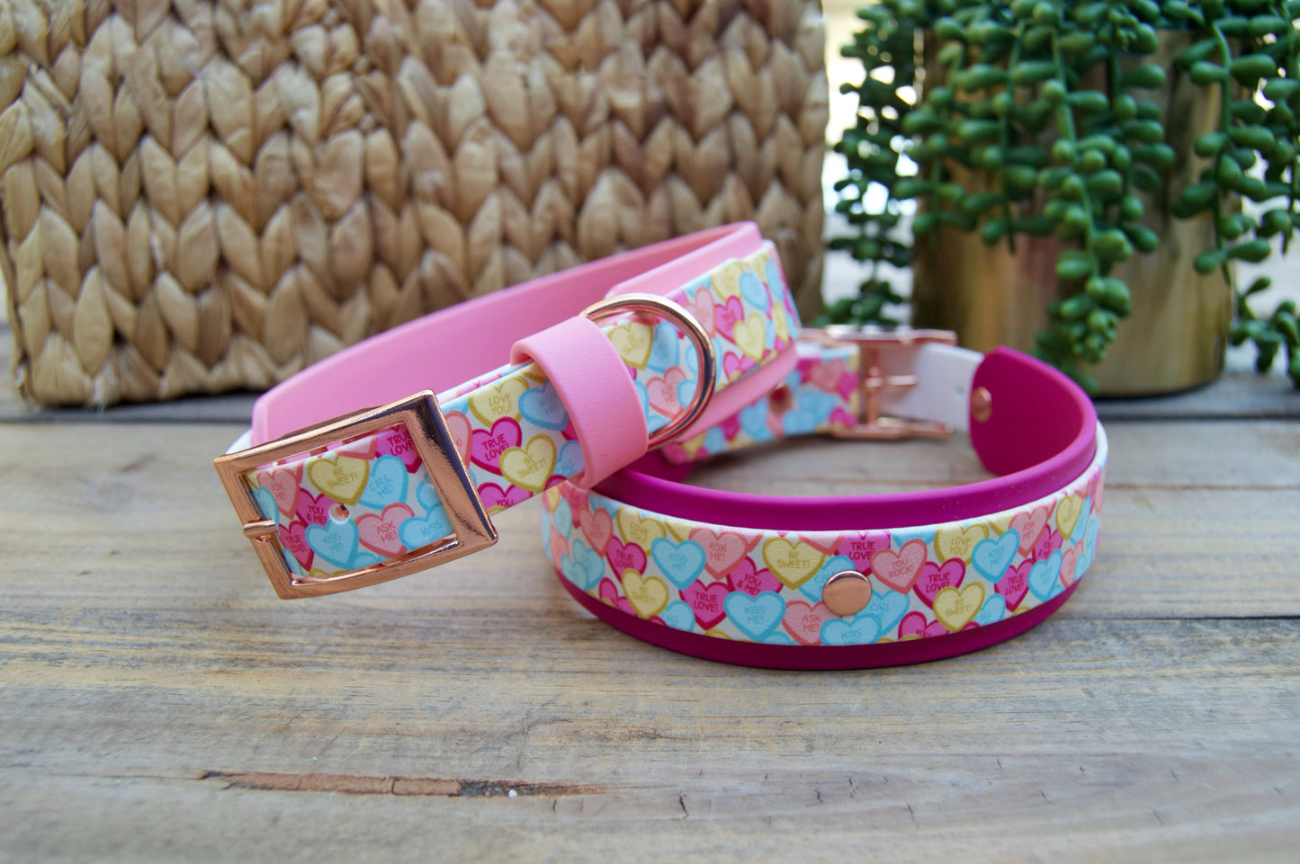 Conversation Heart: Printed Double Layer Biothane Dog Collar