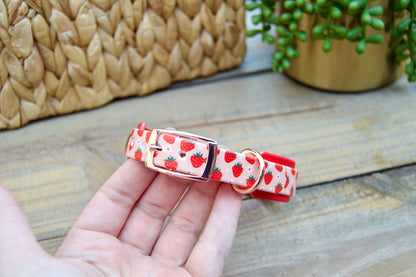 Strawberry: Mini Printed Double Layer Biothane Dog Collar