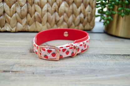 Strawberry: Mini Printed Double Layer Biothane Dog Collar