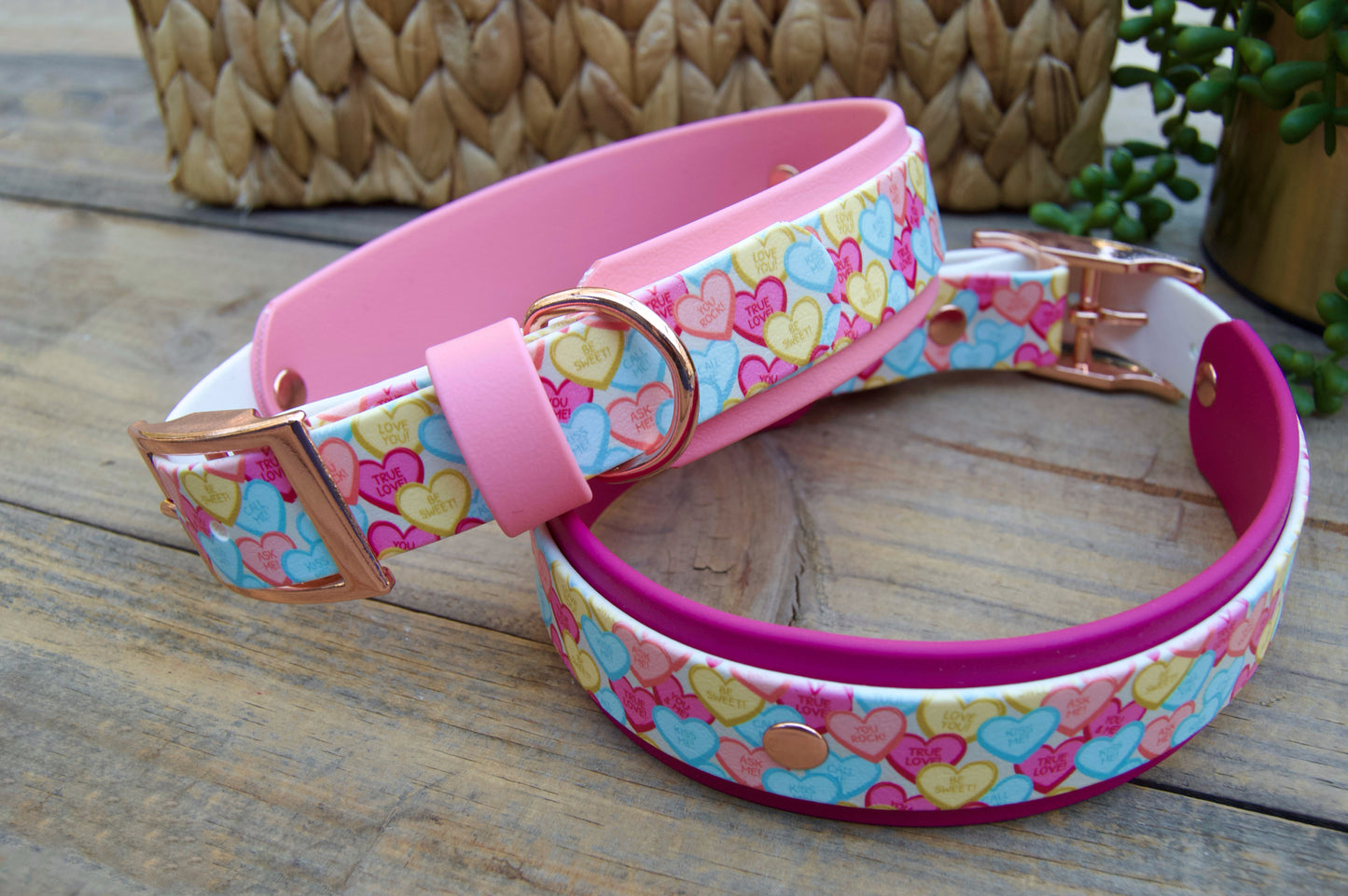 Conversation Heart: Printed Double Layer Biothane Dog Collar