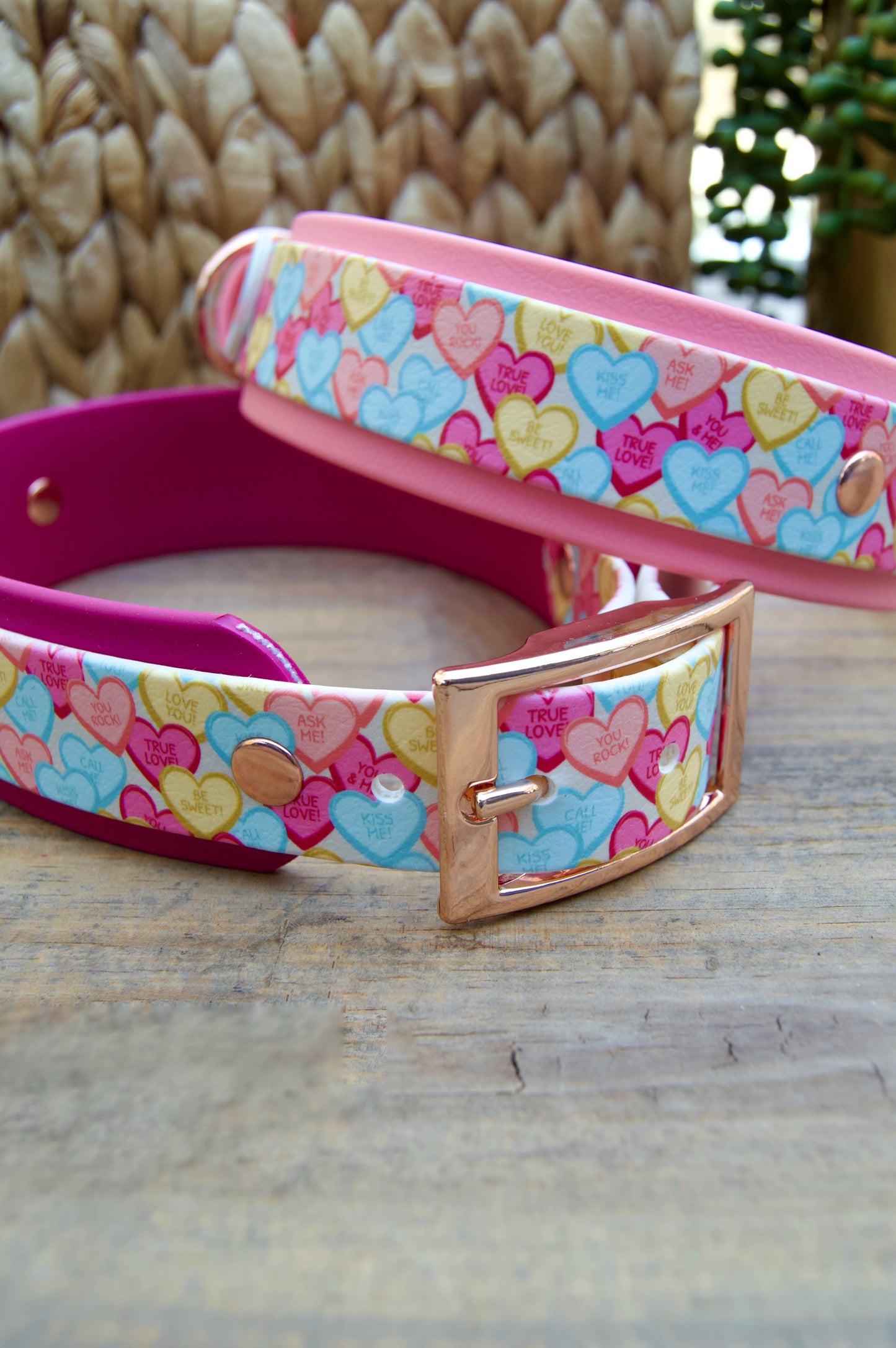 Conversation Heart: Printed Double Layer Biothane Dog Collar