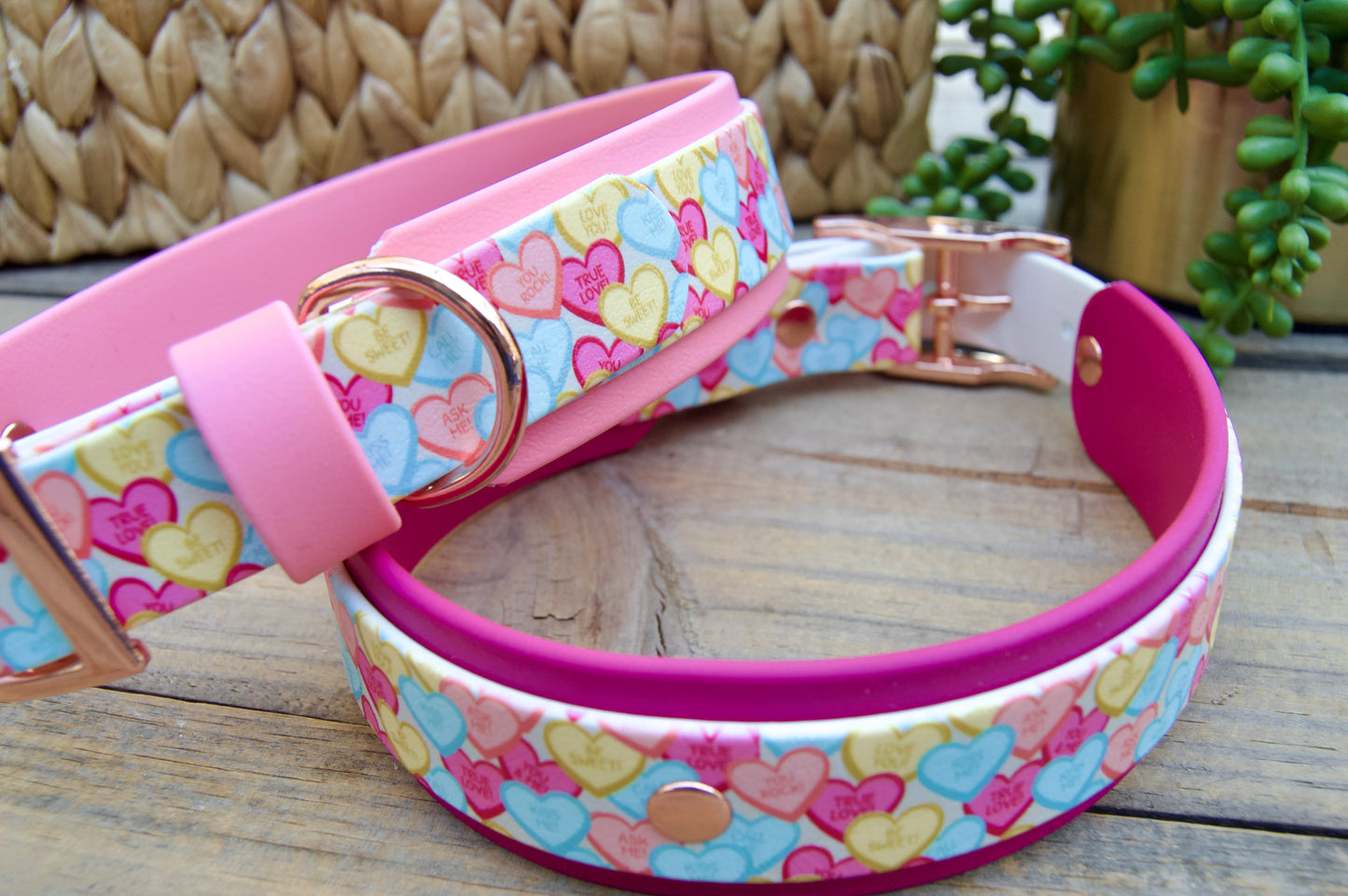 Conversation Heart: Printed Double Layer Biothane Dog Collar