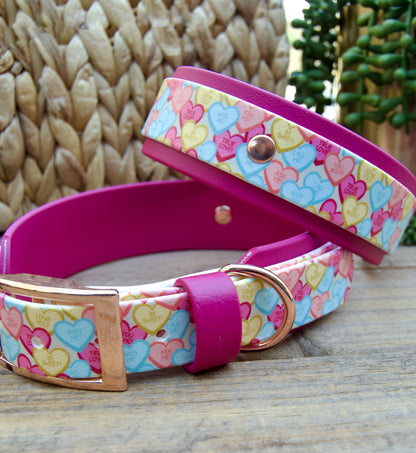 Conversation Heart: Printed Double Layer Biothane Dog Collar