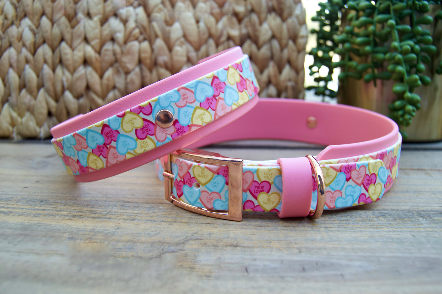 Conversation Heart: Printed Double Layer Biothane Dog Collar