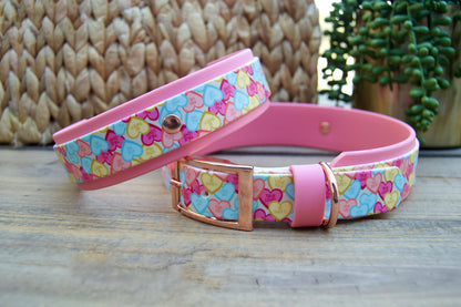 Conversation Heart: Printed Double Layer Biothane Dog Collar