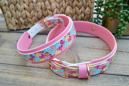 Conversation Heart: Printed Double Layer Biothane Dog Collar