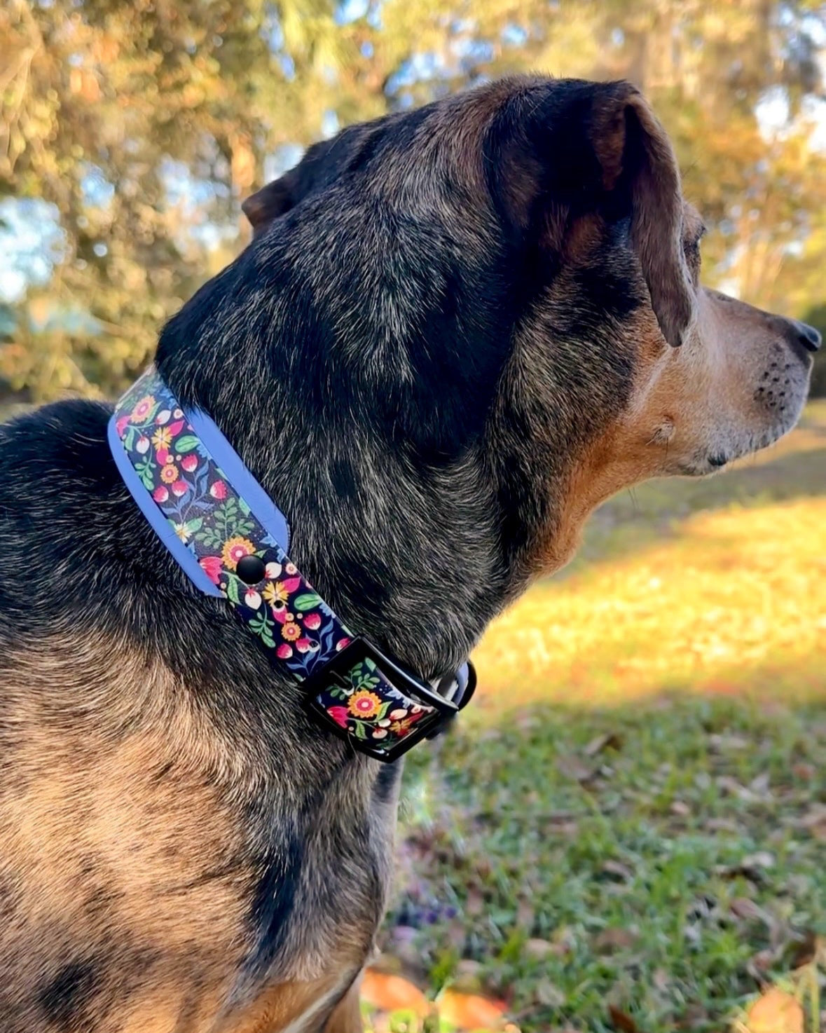 Wildflower: Printed Double Layer Biothane Dog Collar