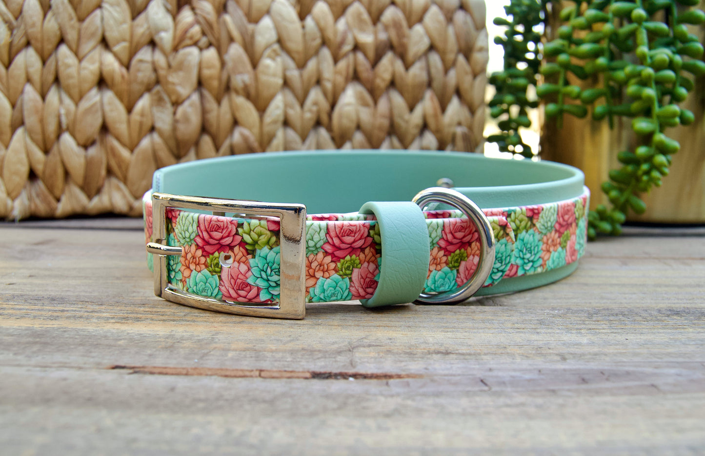 Succulent: Printed Double Layer Biothane Dog Collar