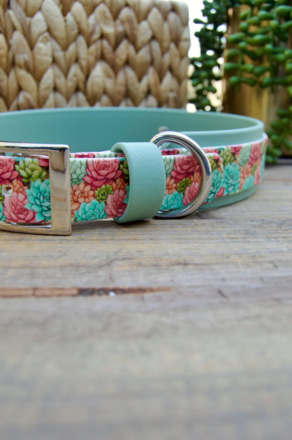 Succulent: Printed Double Layer Biothane Dog Collar