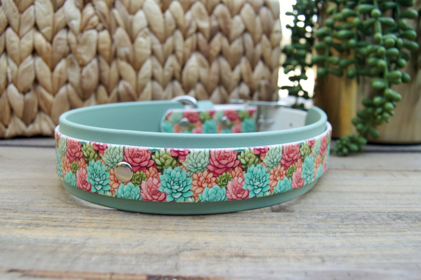 Succulent: Printed Double Layer Biothane Dog Collar