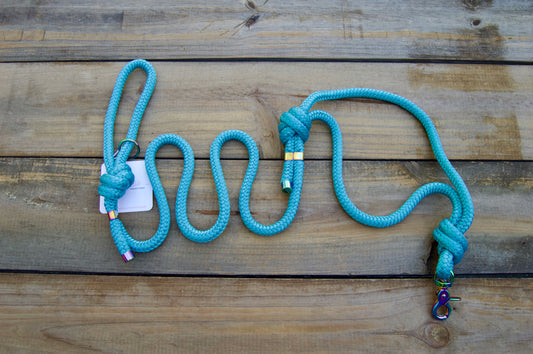 RTS: 5FT Teal Venture Dog Leash with Traffic Handle