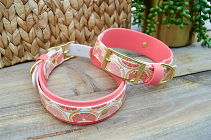 Grapefruit: Printed Double Layer Biothane Dog Collar