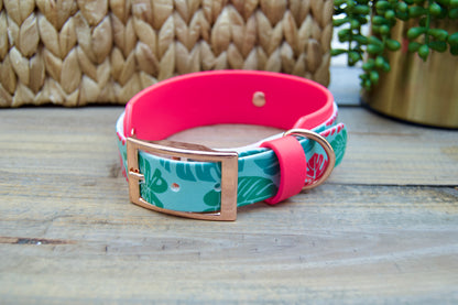 Monstera: Printed Double Layer Biothane Dog Collar