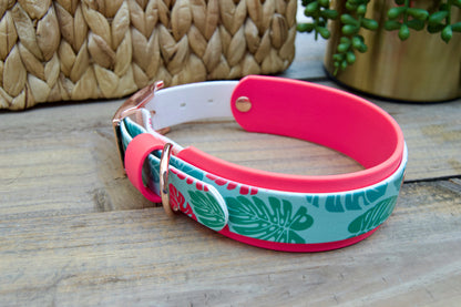 Monstera: Printed Double Layer Biothane Dog Collar