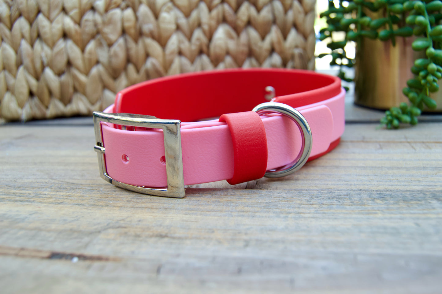 Red and Pastel Pink Valentine's Double Layer Biothane Dog Collar