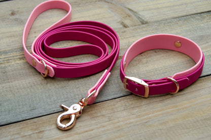 Bundle of Mini Double Layer Biothane Dog Collar and Leash