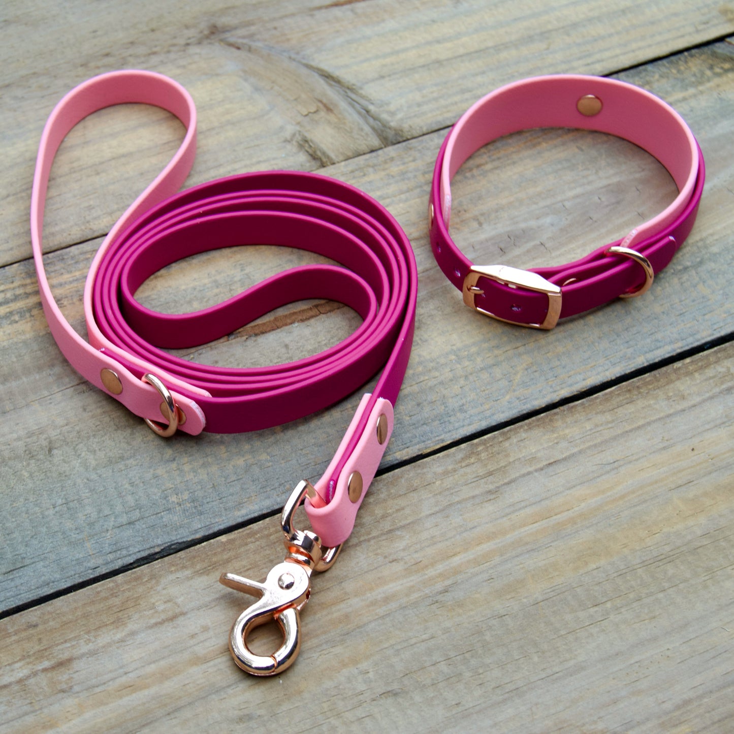 Bundle of Mini Double Layer Biothane Dog Collar and Leash