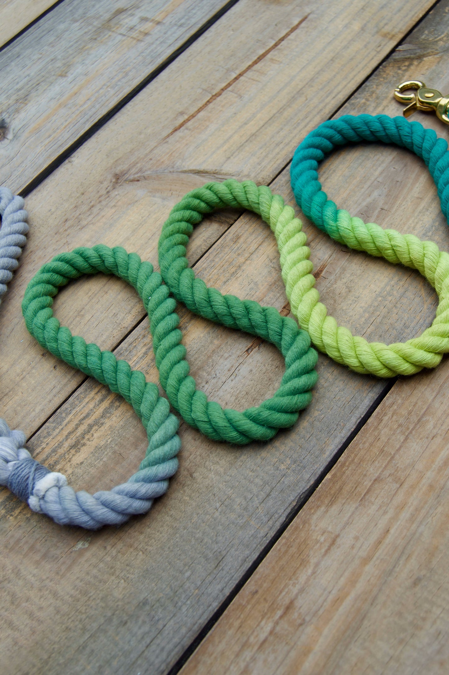 JEWEL: Grey, Olive, Lime, and Teal Rope Dog Leash