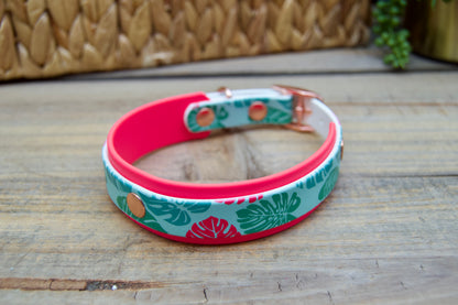 Monstera: Mini Printed Double Layer Biothane Dog Collar