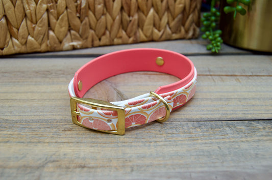Grapefruit: Mini Printed Double Layer Biothane Dog Collar