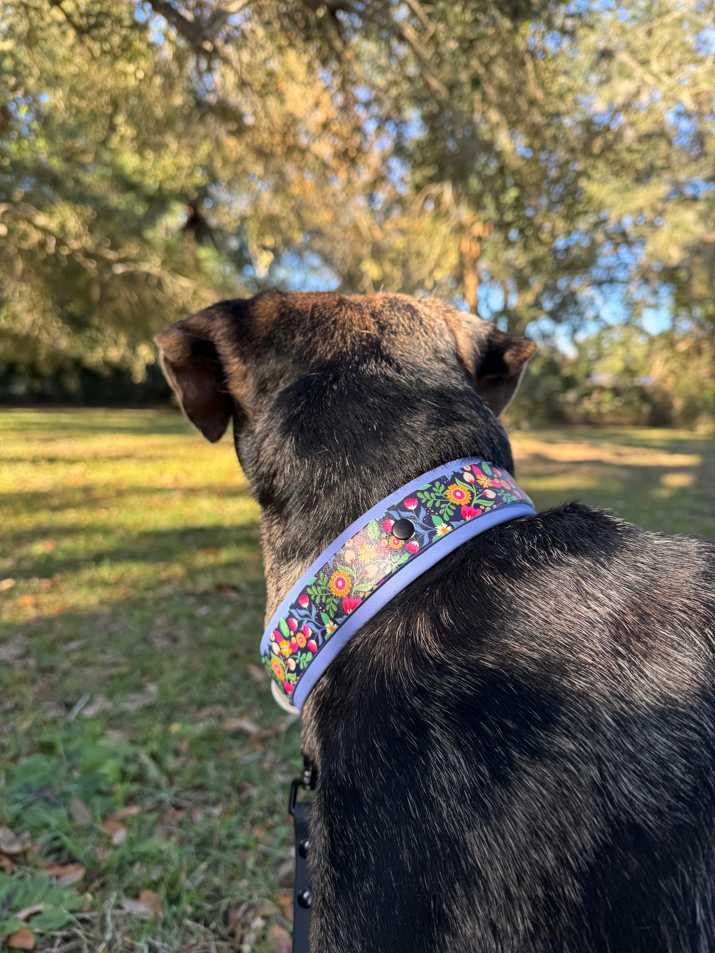 Wildflower: Printed Double Layer Biothane Dog Collar