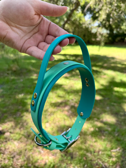 Sport Handle Double Layer Biothane Dog Collar
