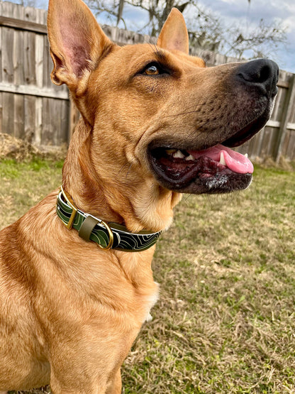 Green Topography: Printed Double Layer Biothane Dog Collar