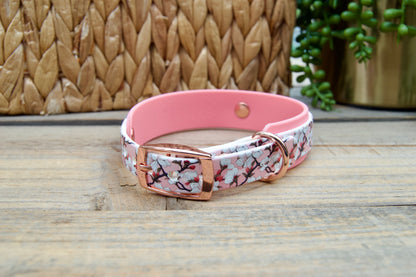 cherry blossom patterned biothane dog collar with pastel pink accents on a wooden surface