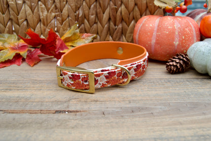 Dog collar with fall leaves on a wooden surface with pumpkins and leaves decoration