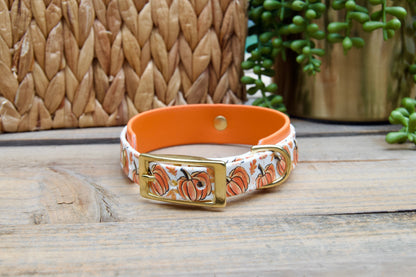 Dog collar with orange  pumpkin pattern and gold buckle on a wooden surface