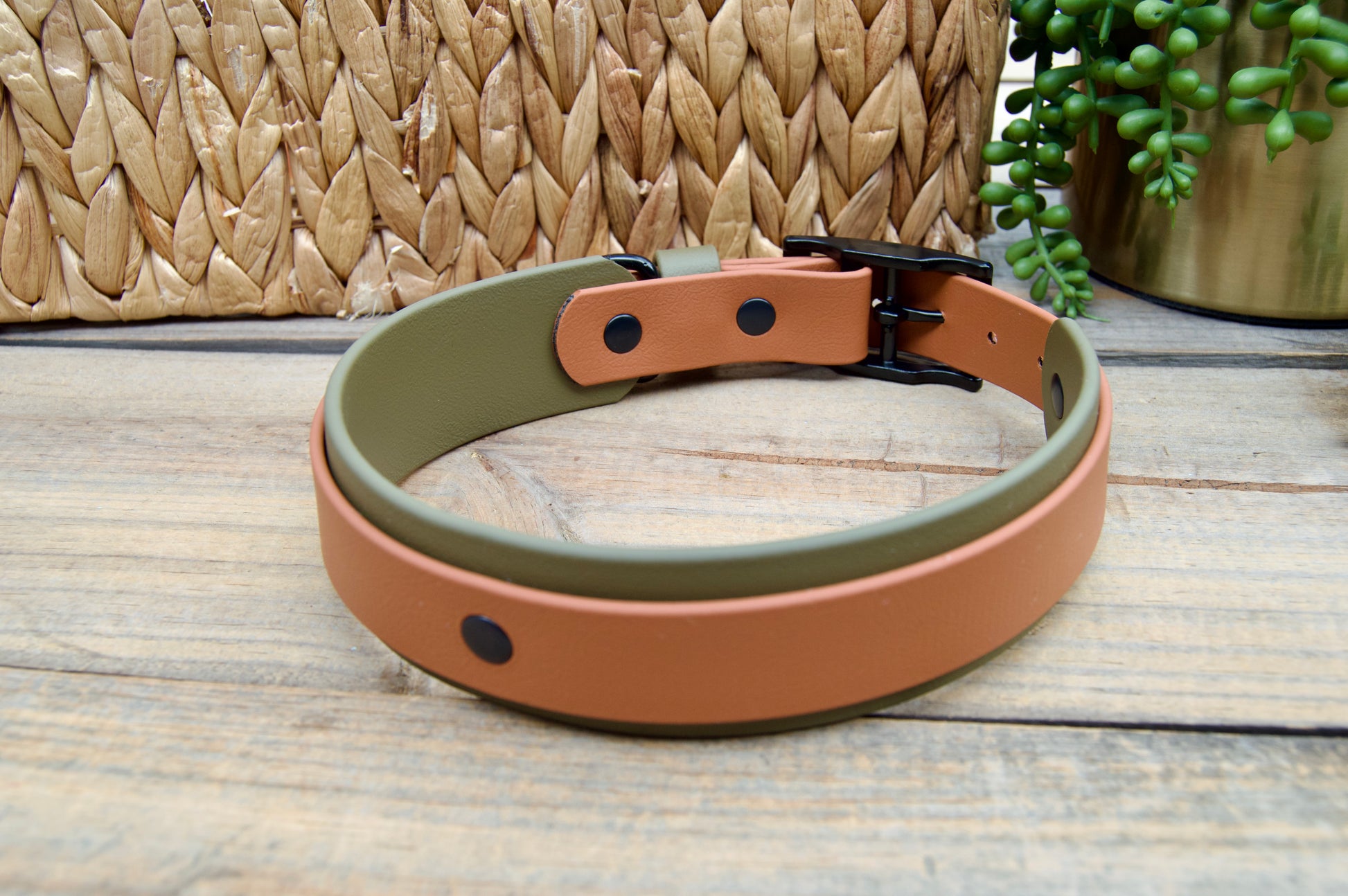 An Olive Green and Caramel biothane dog collar on a wooden surface with a woven basket and plant in the background.