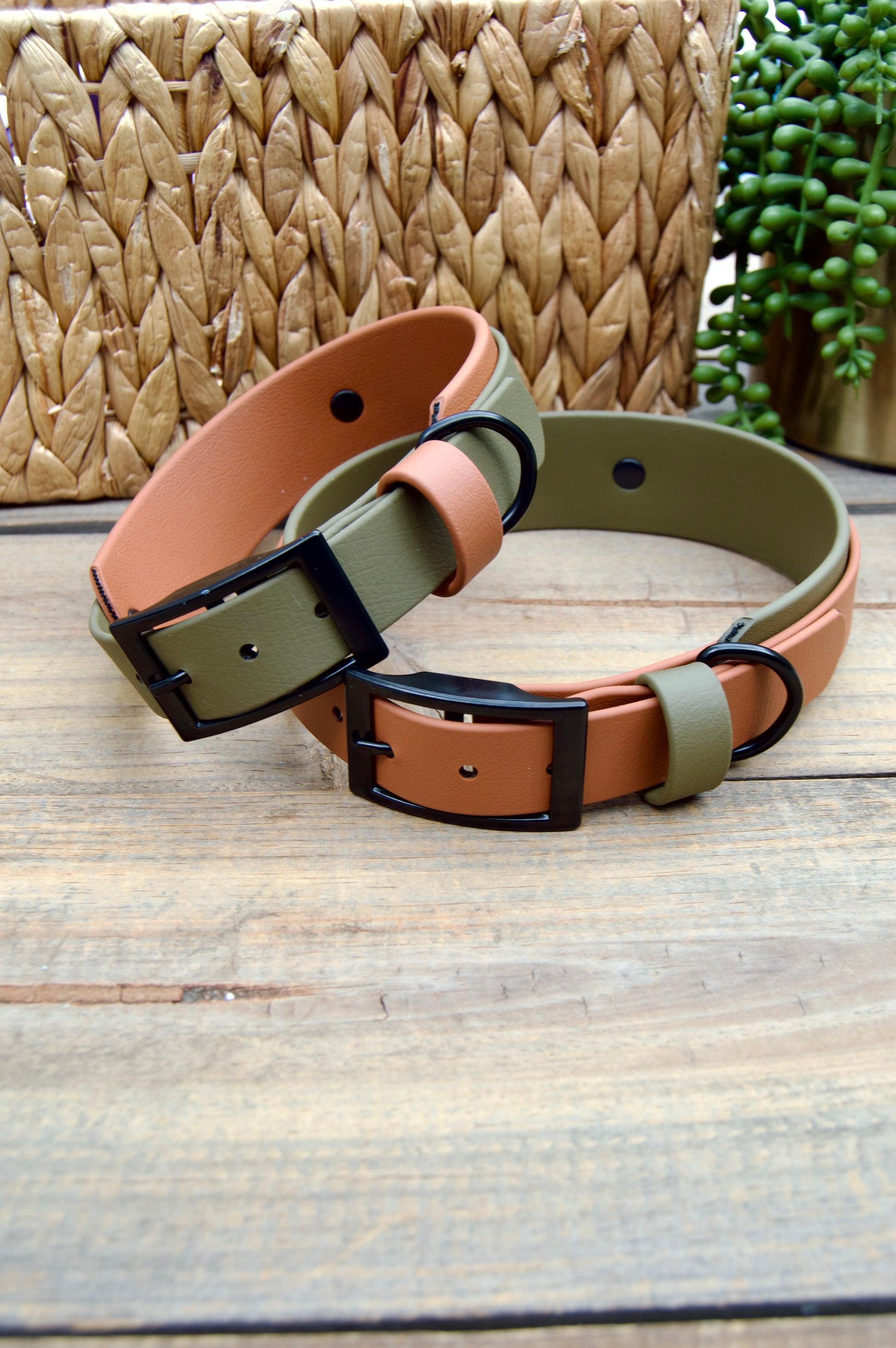 Two dog collars, one brown and one green, on a wooden surface with a woven basket in the background.