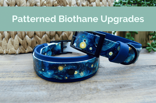 Pattern Upgrade for Biothane Dog Collar