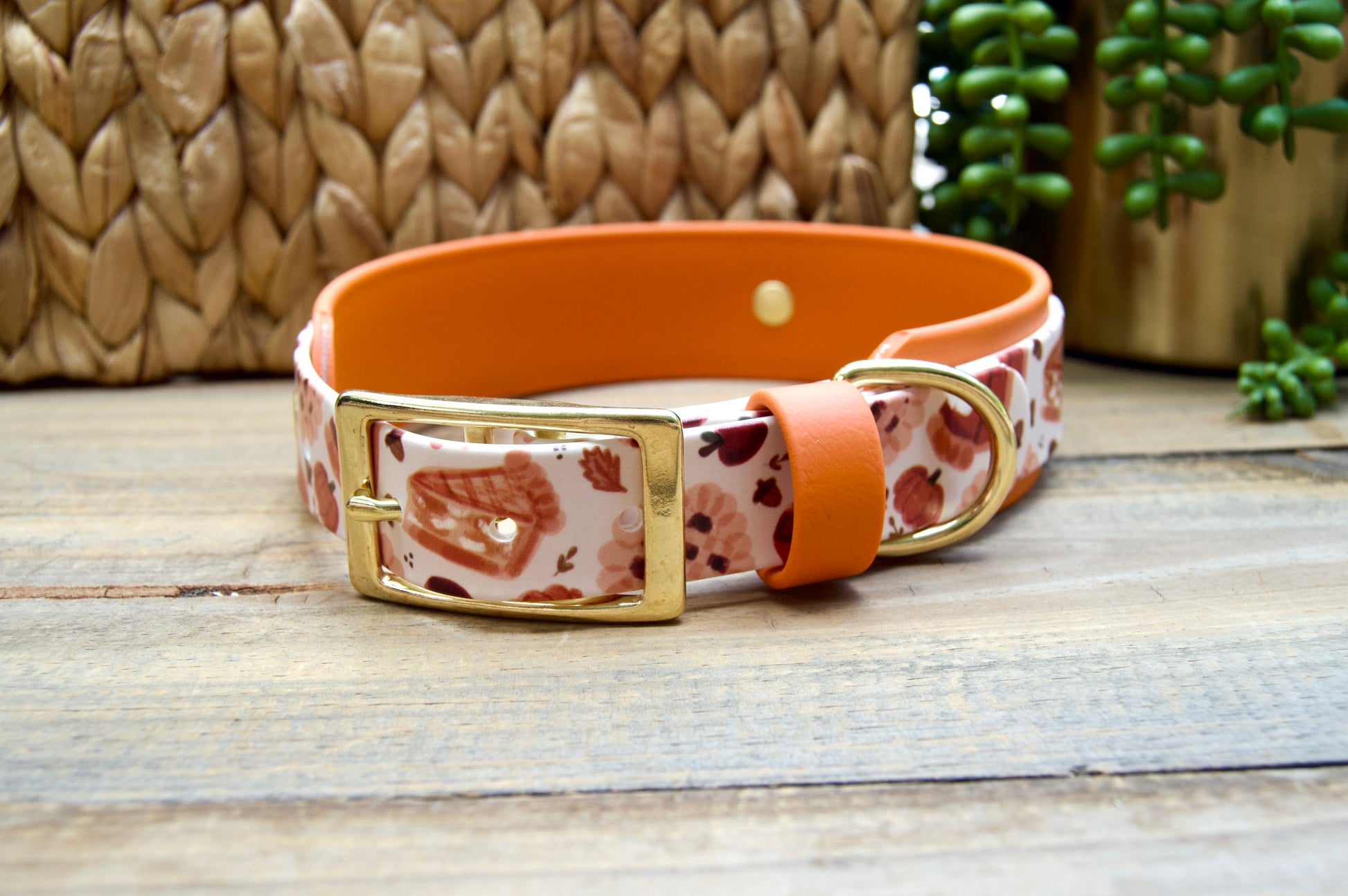 A dog collar displayed on a rustic wooden surface. The collar has a white base with a red and orange pie pattern and a burnt orange biothane accent color with gold hardware.