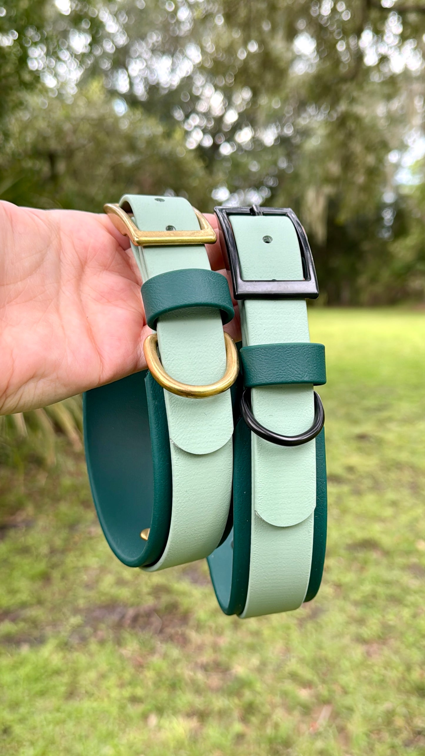 Two dog collars, Sage and Emerald Green Colors on held in front of a blurred natural green background