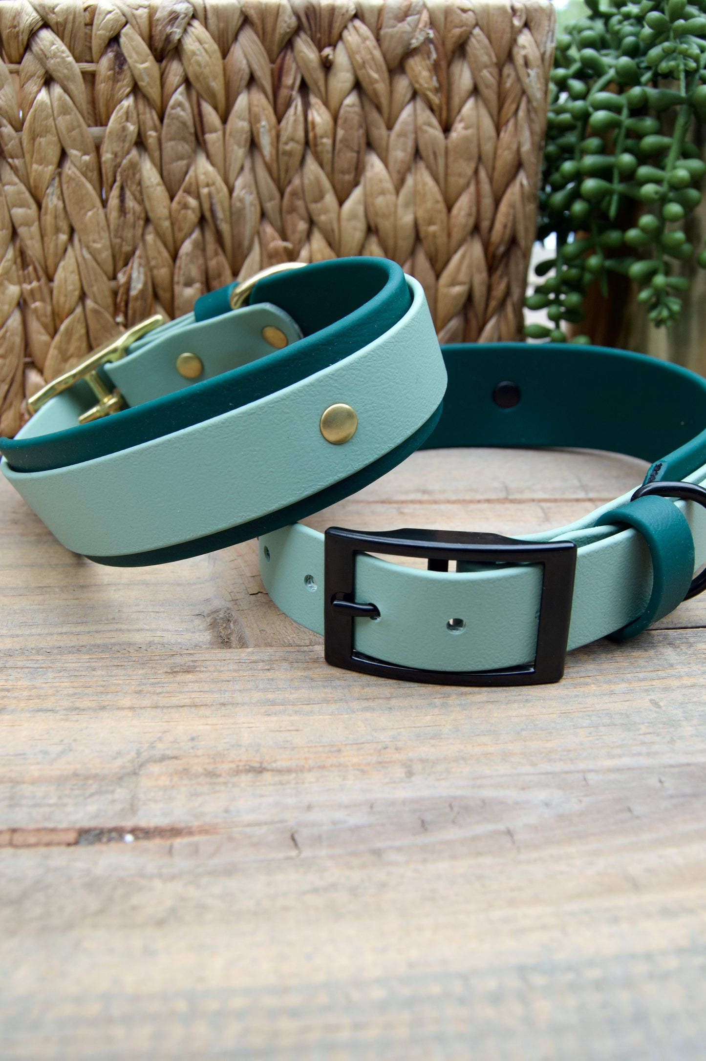 Two dog collars, Sage and Emerald Green Colors on a wooden surface with a woven basket and plant in the background.
