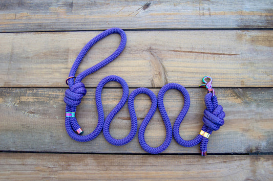 RTS: 5FT Purple Venture Dog Leash