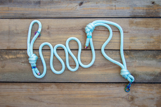 RTS: 6FT Ice Blue Venture Dog Leash with Traffic Handle