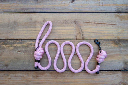 RTS: 5FT Pink Venture Dog Leash