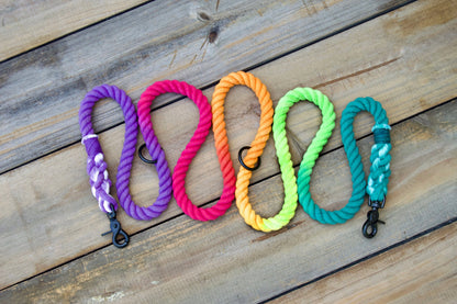 PRISM: Handsfree Rope Dog Leash