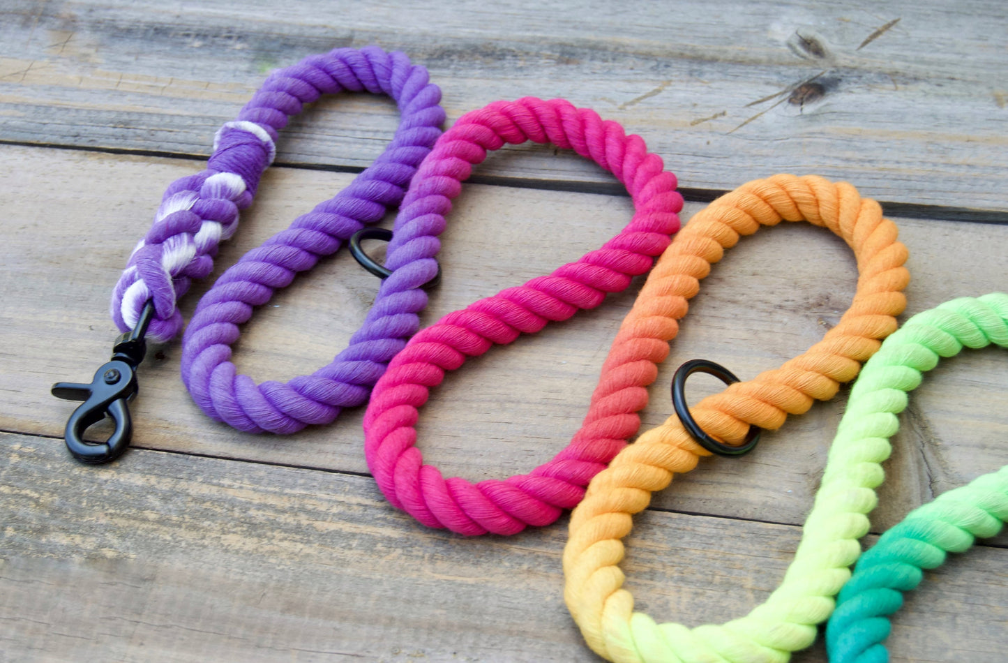 PRISM: Handsfree Rope Dog Leash