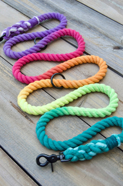 PRISM: Handsfree Rope Dog Leash