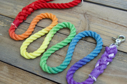 RAINBOW: Rope Dog Leash