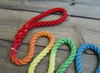 RAINBOW: Rope Dog Leash