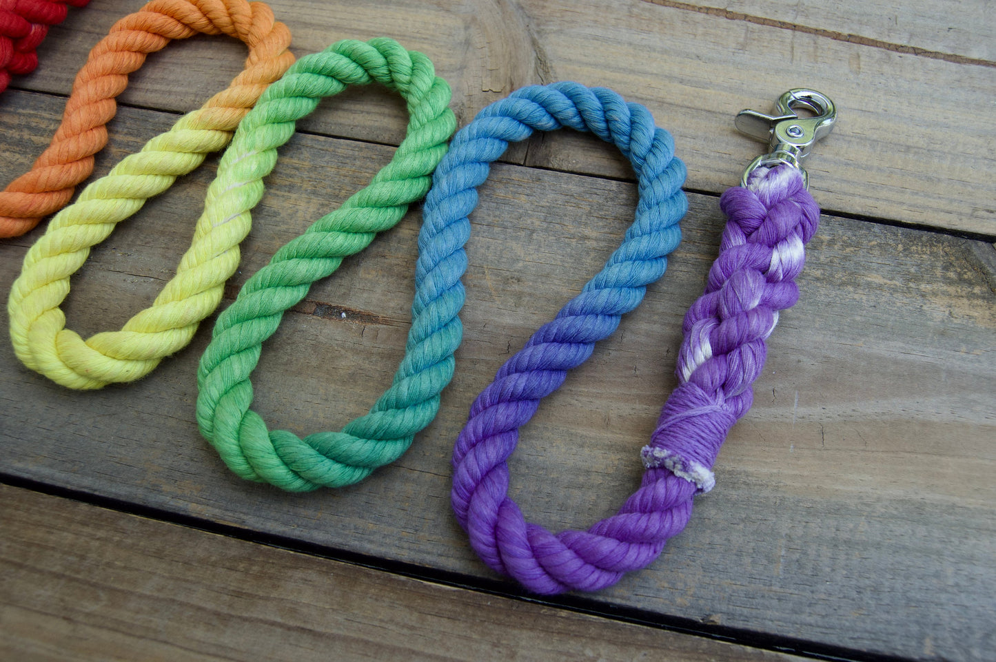 RAINBOW: Rope Dog Leash